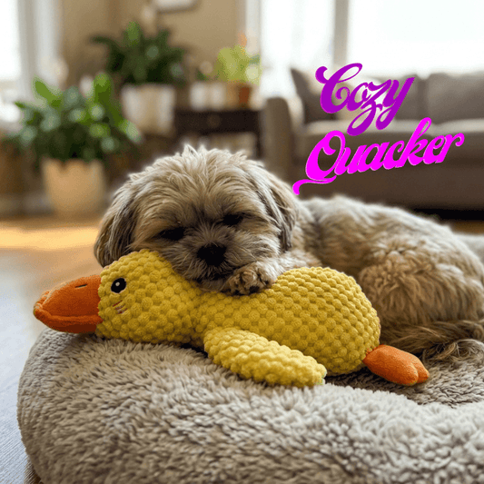 Cozy Quacker