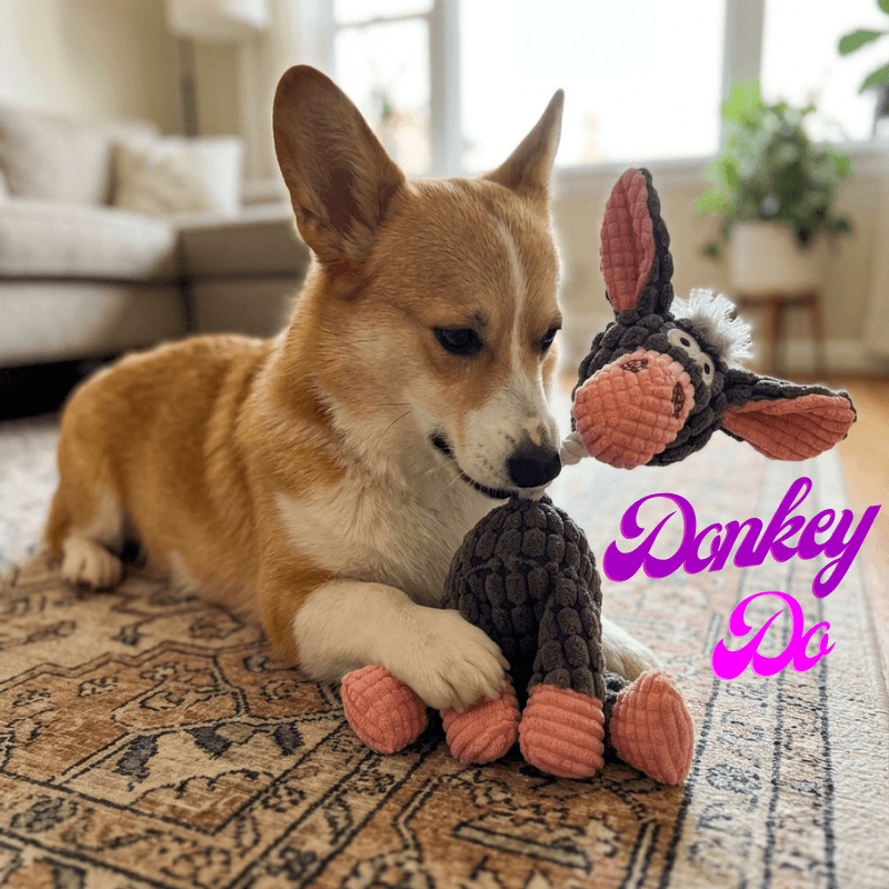 Donkey Do