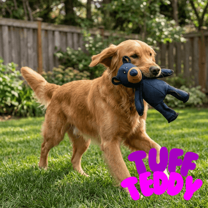 Tuff Teddy