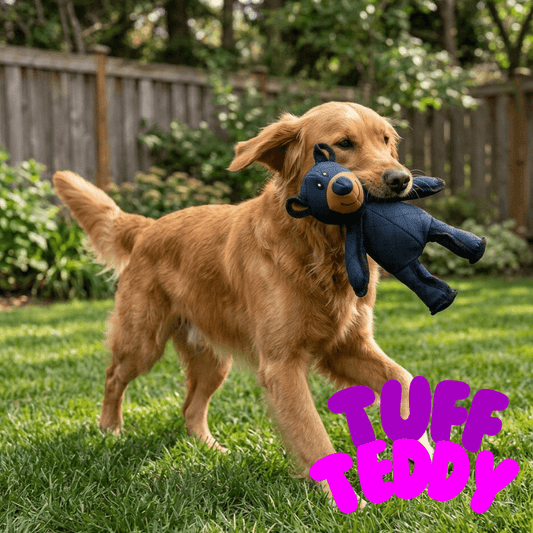Tuff Teddy
