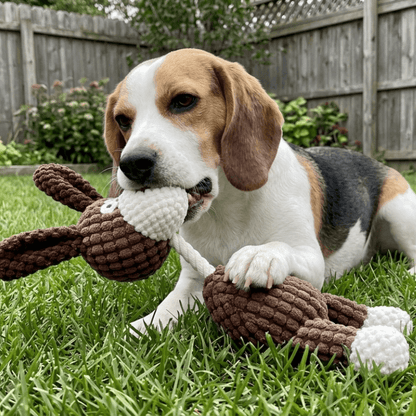 Knots-A-Lot